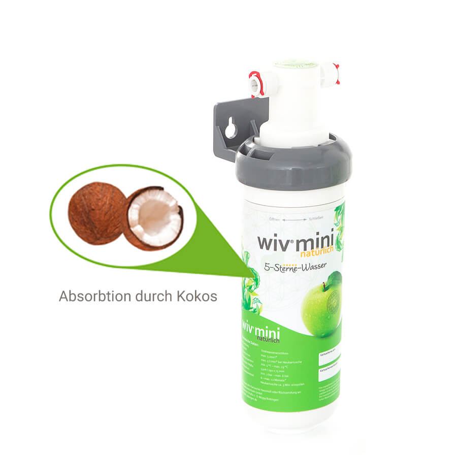 wiv-mini-kokos